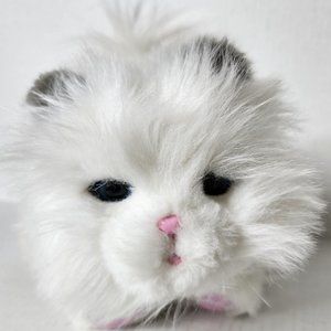 Little Live Pets Cuddles My Dream Kitten White Interactive Cat Plush 10"